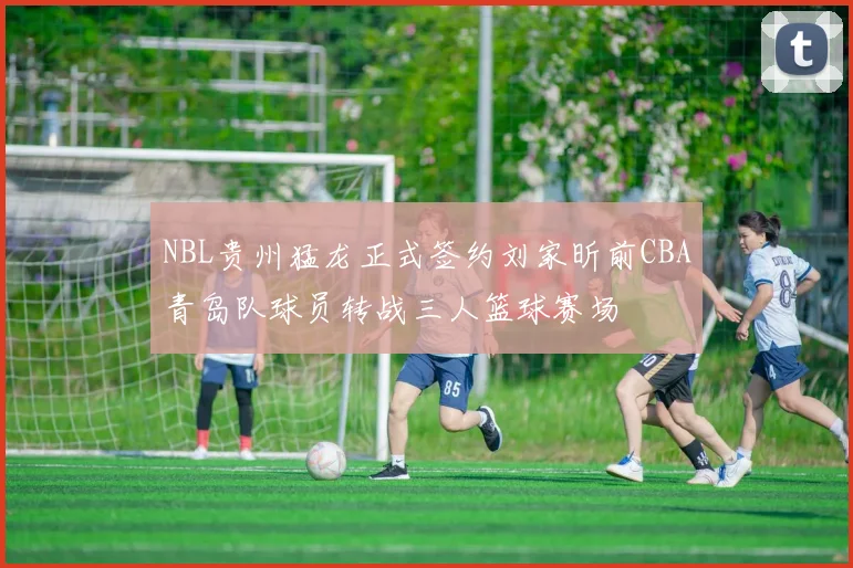 NBL贵州猛龙正式签约刘家昕前CBA青岛队球员转战三人篮球赛场