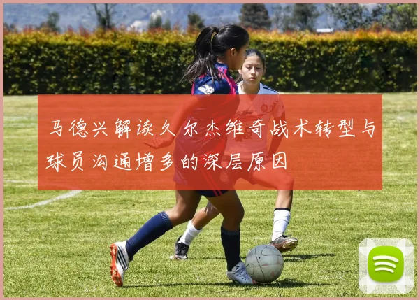 马德兴解读久尔杰维奇战术转型与球员沟通增多的深层原因